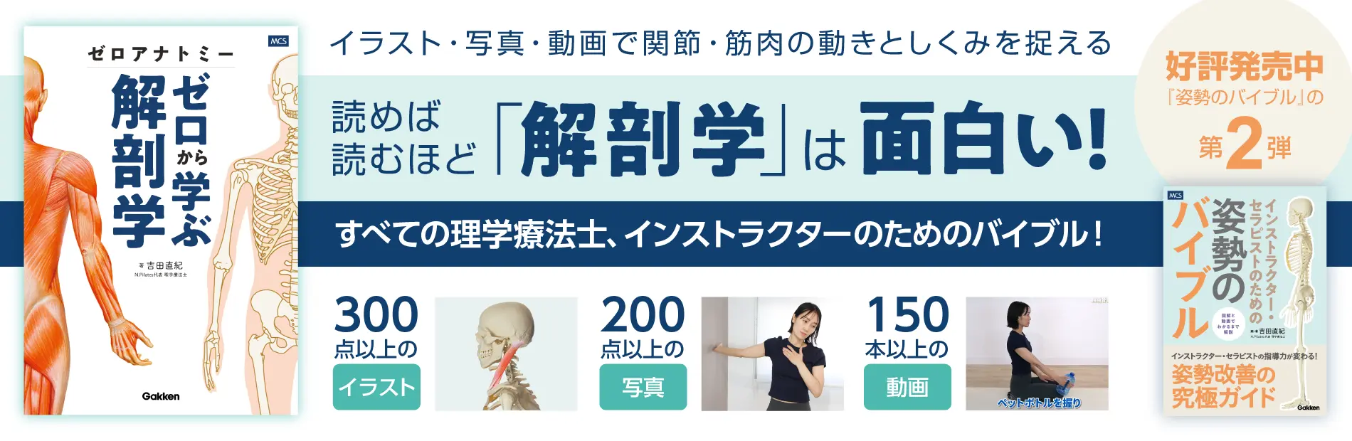 ゼロアナトミー