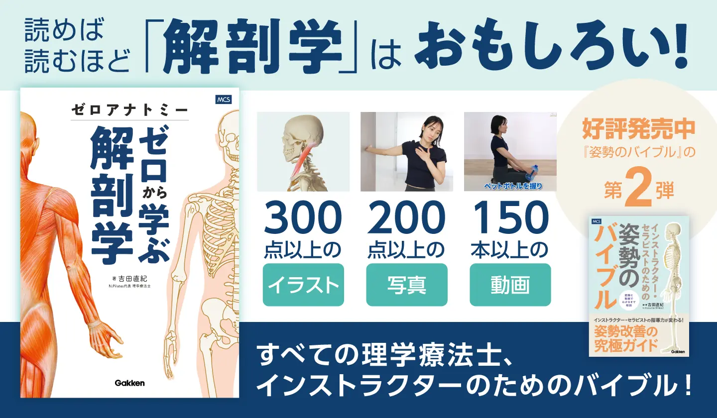 ゼロアナトミー