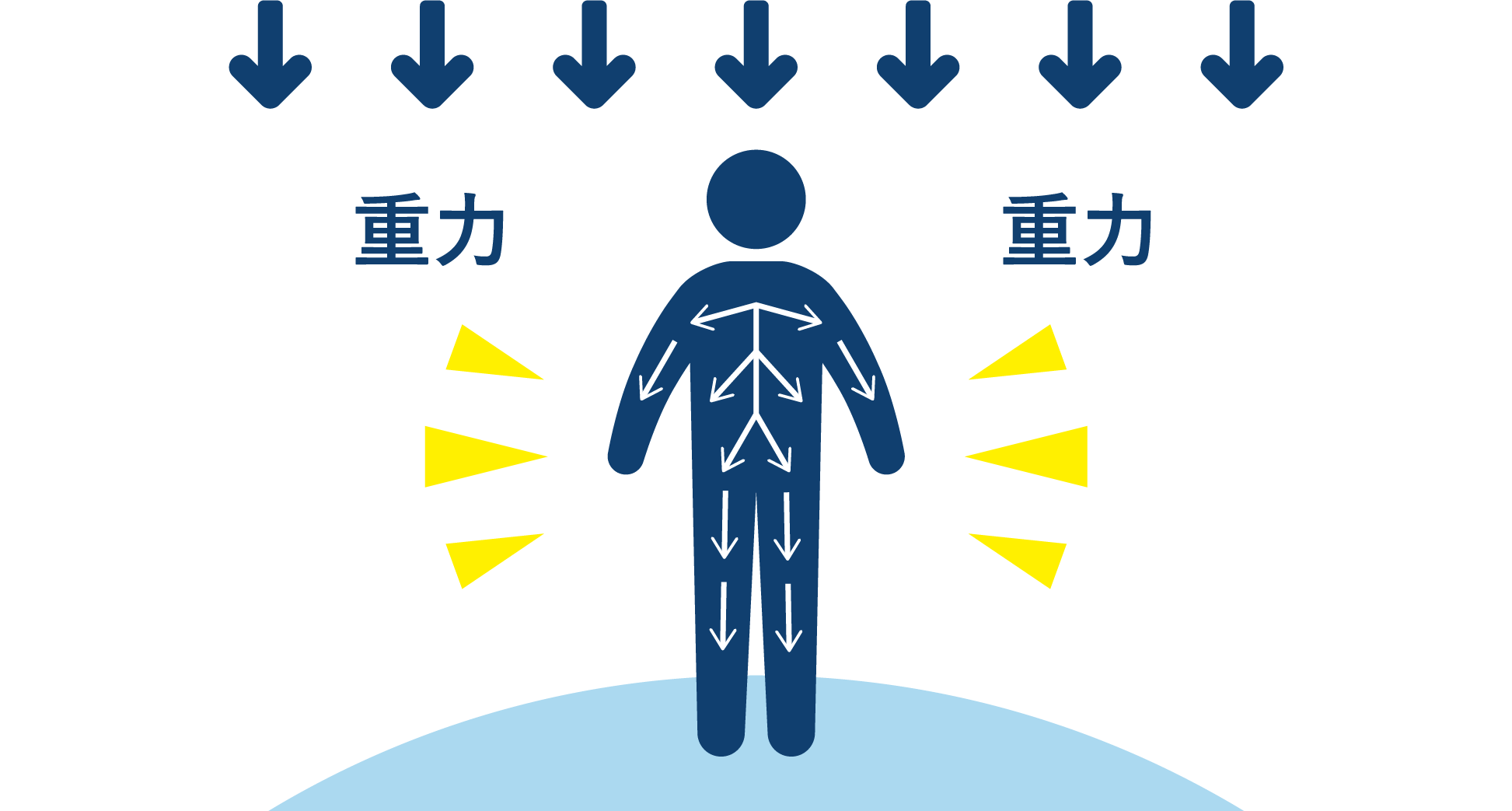 水分を身体の隅々まで行き渡らせる 身体の3つの工夫 健達ねっと