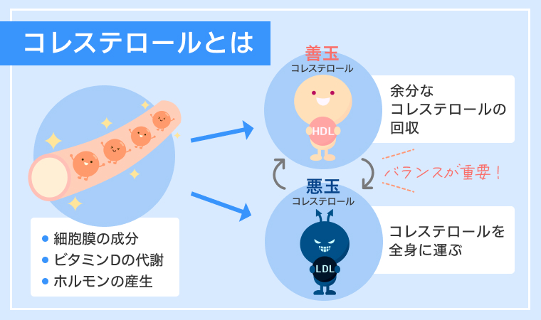 コレステロールとは