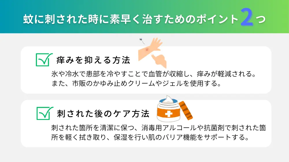 蚊に刺された時に素早く治すには？