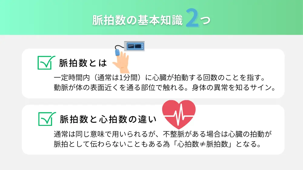 脈拍数の基本知識