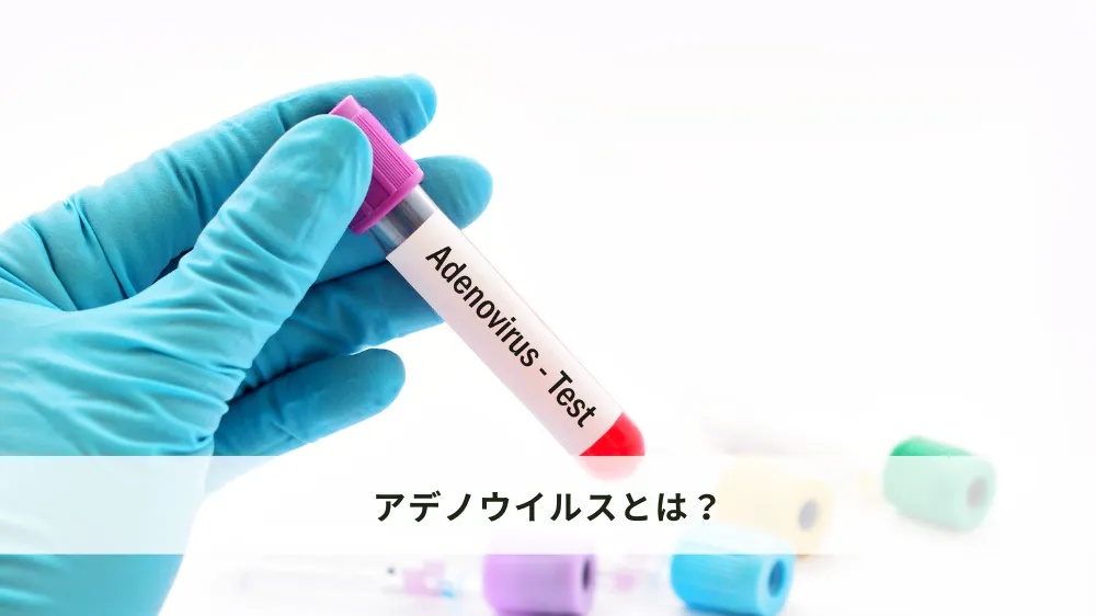 アデノウイルスとは？