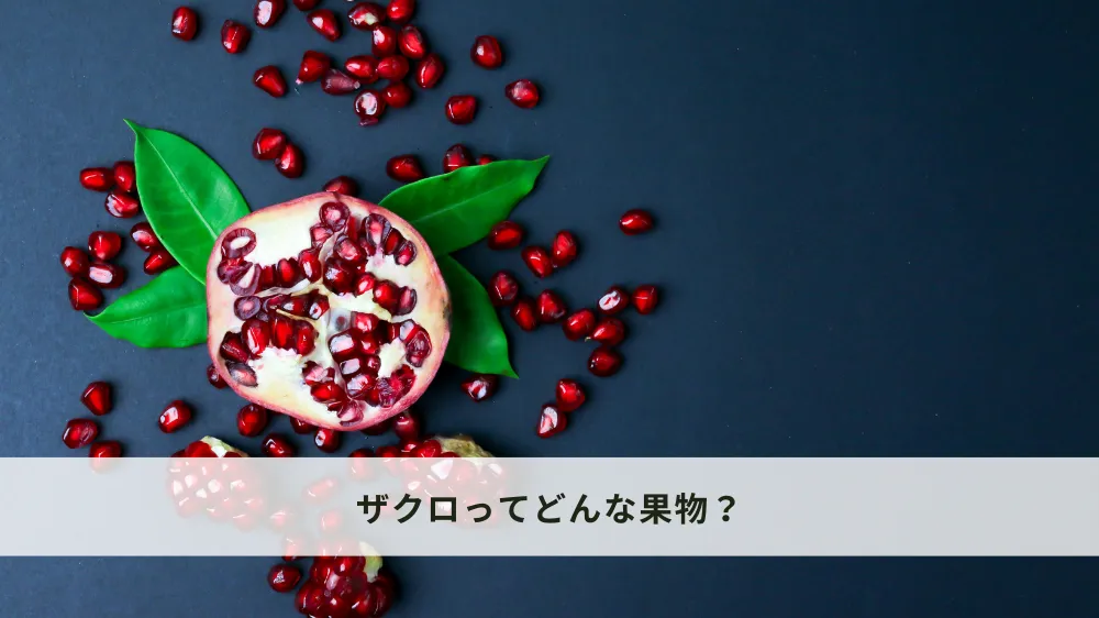 ザクロってどんな果物？