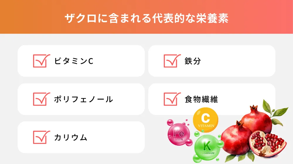 ザクロに含まれる代表的な栄養素