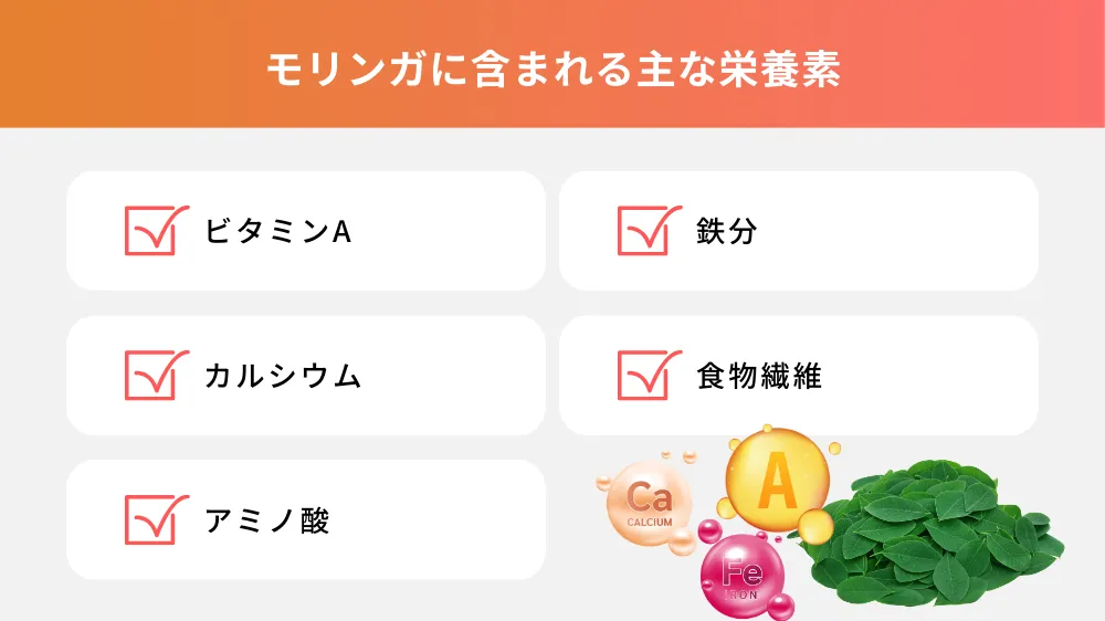 モリンガに含まれる主な栄養素