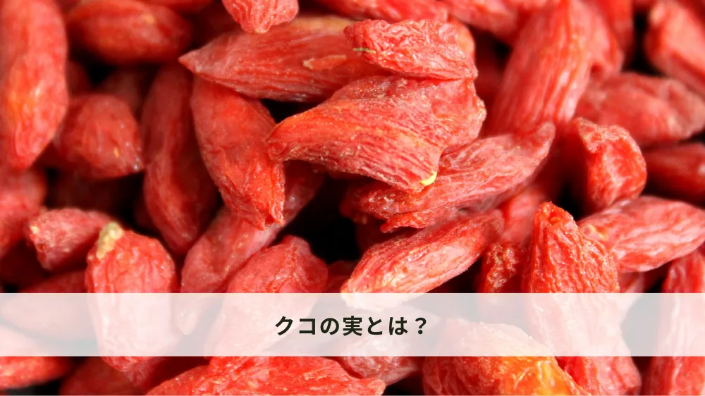 クコの実とは