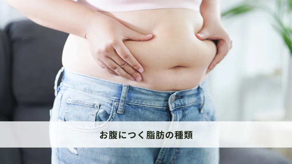 お腹につく脂肪の種類