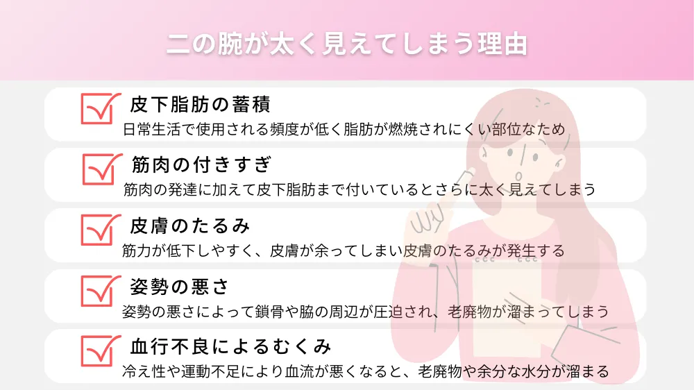 二の腕が太く見えてしまう理由