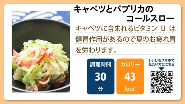 【介護食レシピ】キャベツとパプリカのコールスロー