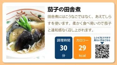 茄子の田舎煮