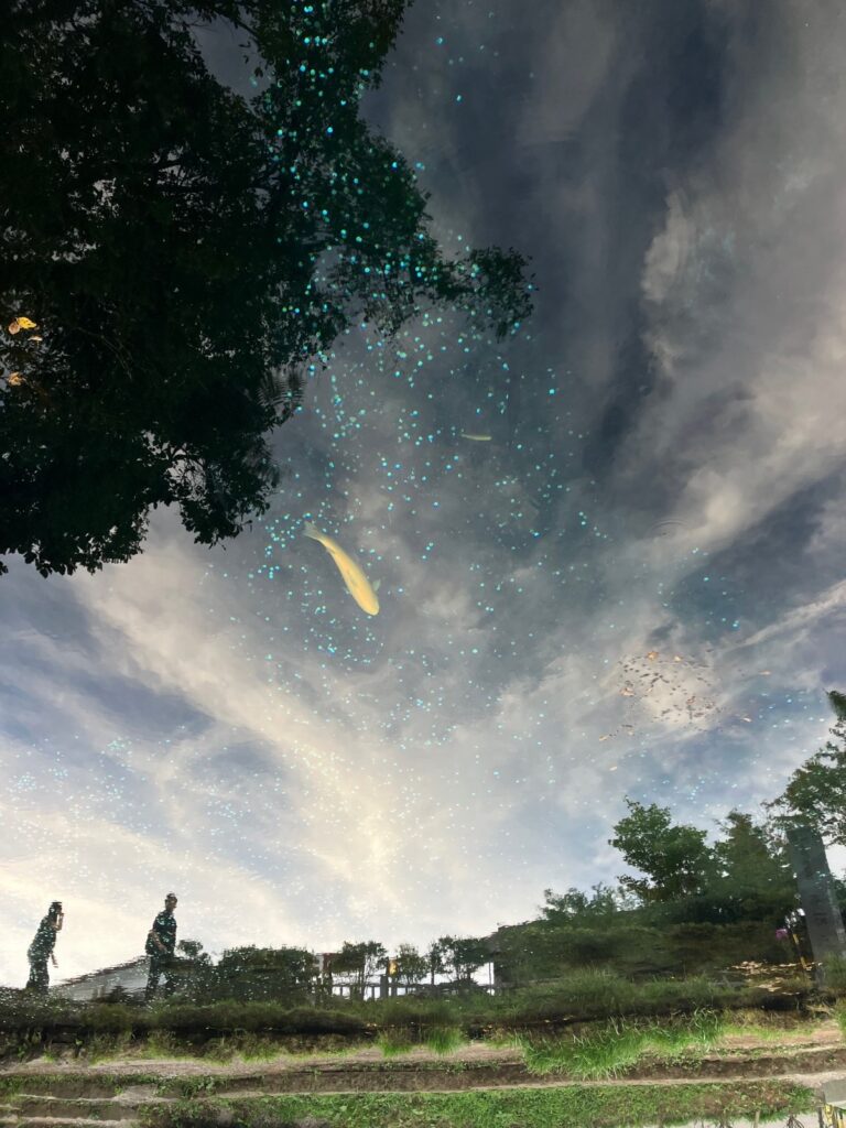忍野八海に写り込んだ風景