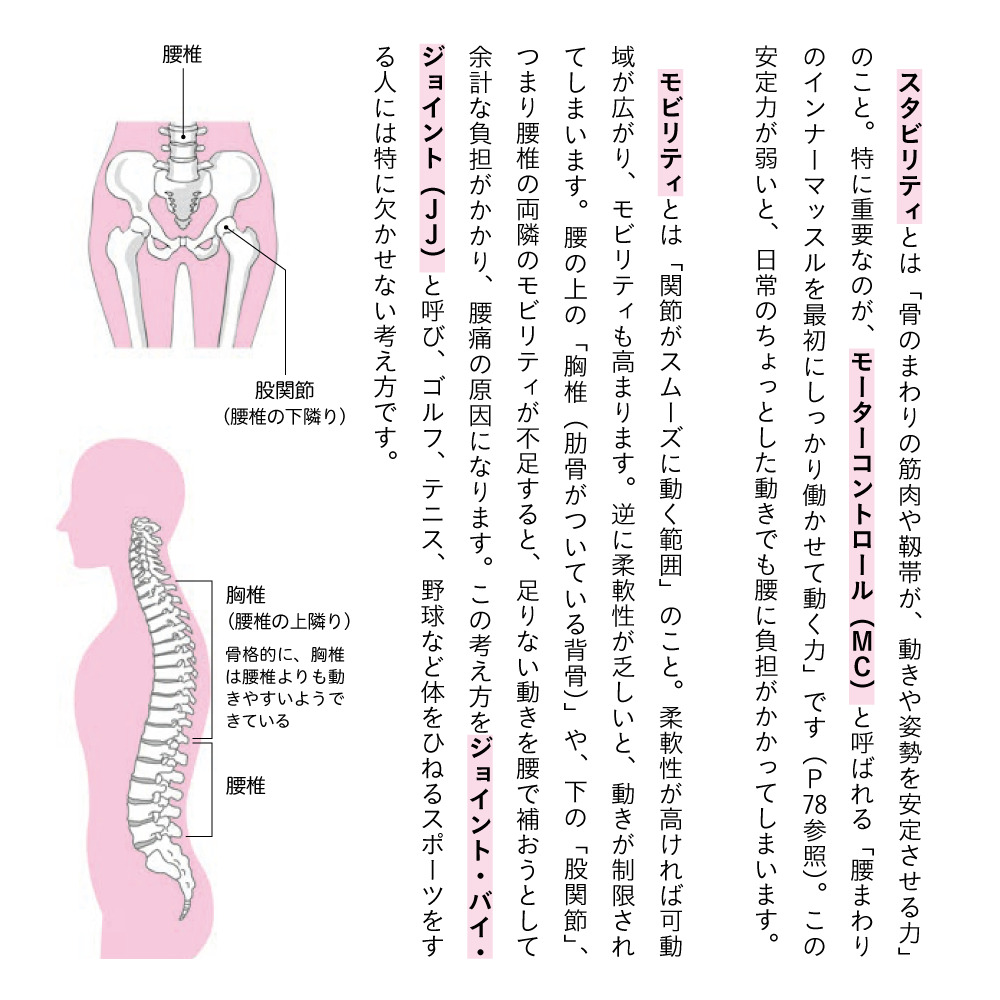 コシトレ Part1 腰痛の種類とメカニズム 腰痛になりやすい人の身体に不足しているもの