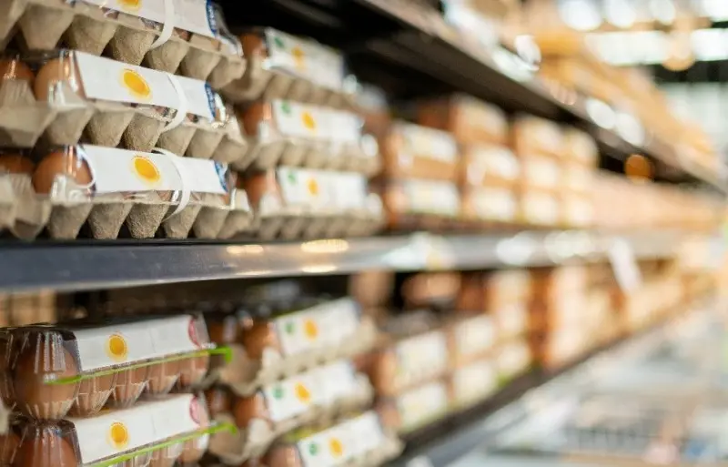 養鶏場での鳥インフルエンザ発生例