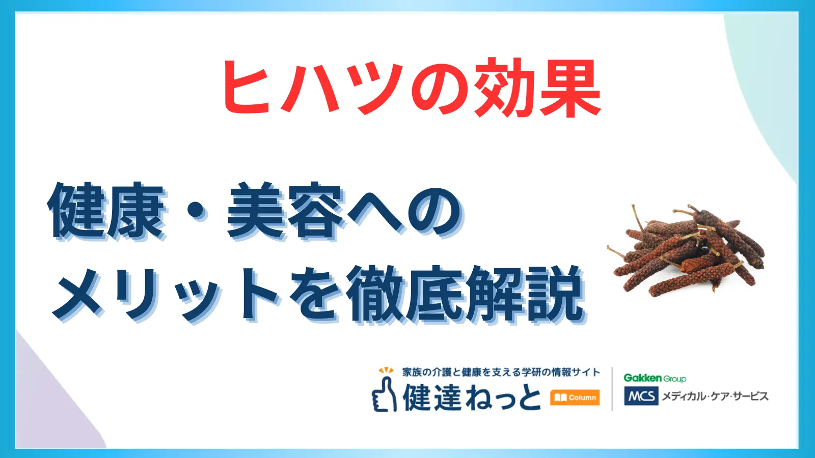 ヒハツの効果とは？健康や美容へのメリットを徹底解説