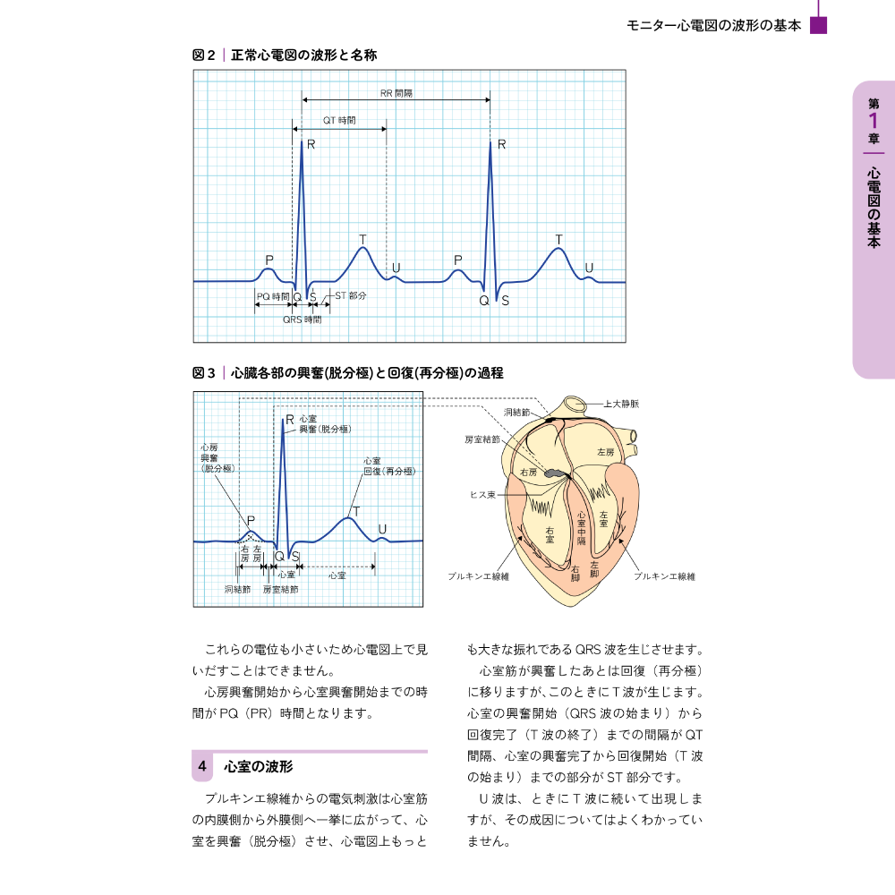 今さら聞けないモニター心電図 第1章 心電図の基本