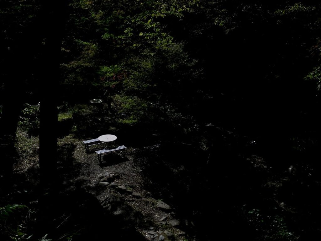 伊豆半島天城路からの「光の演出」