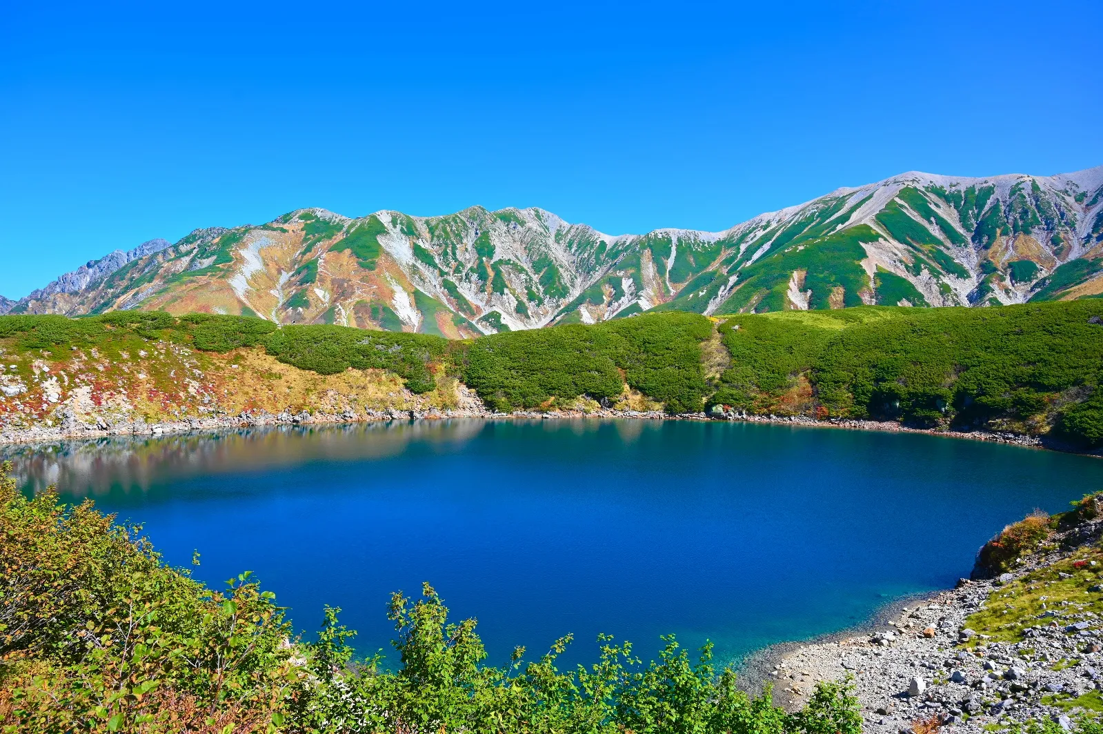 結論：富山県の事業者がとるべき戦略的総括