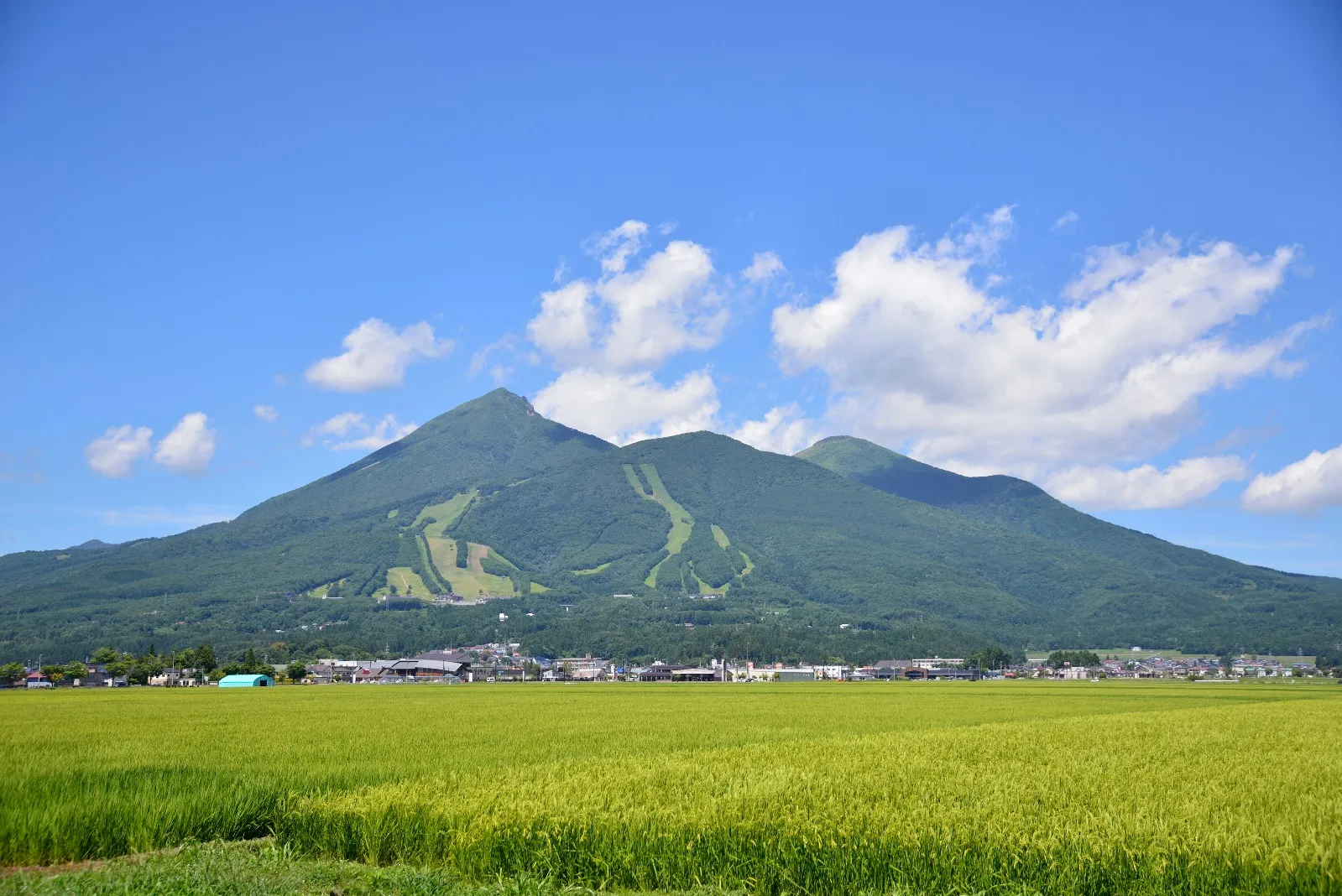 地域特性ごとの経営戦略：2026年を勝ち抜く