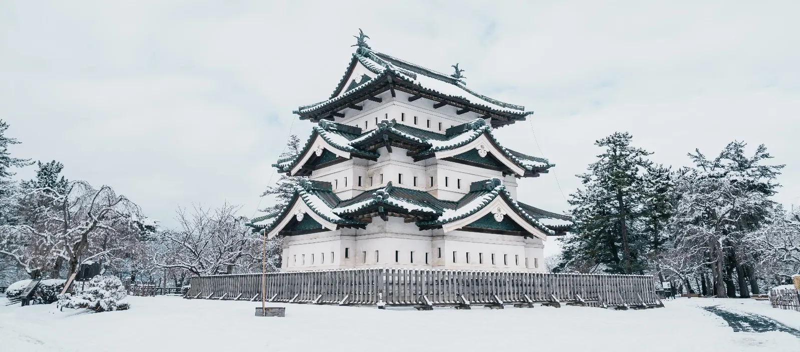地域特有の課題：雪対策と健康課題への補完性