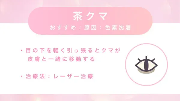 クマの種類の見分け方