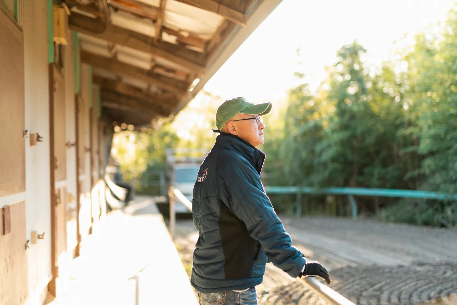 活力サプリとは