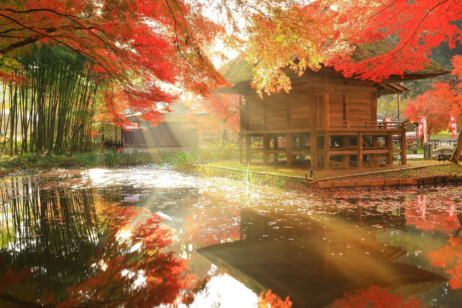 構造的課題と今後の展望：2026年以降を生き抜くために