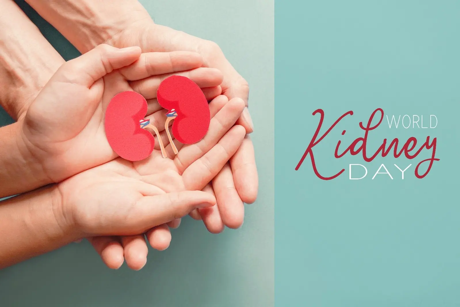 世界腎臓デー イメージ