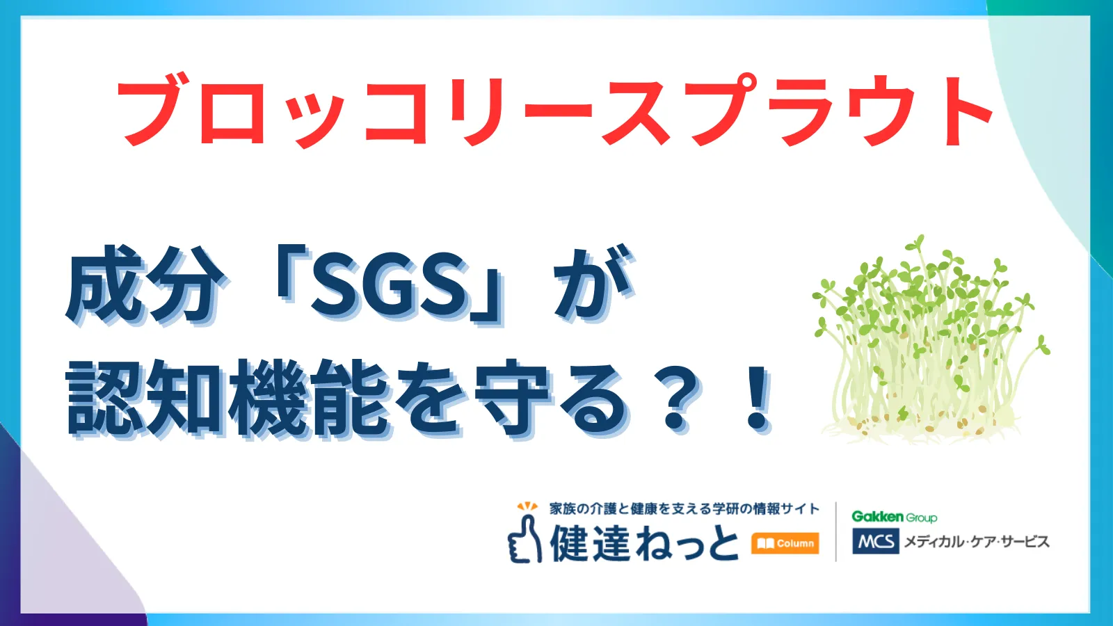 【2026年最新】ブロッコリースプラウト成分「SGS」が認知機能を守る？ カゴメと弘前大学の3.5年長期研究を徹底解説