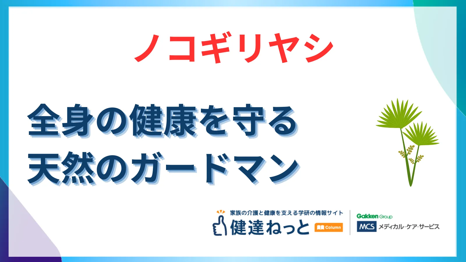 ノコギリヤシは薄毛予防だけじゃない！全身の健康を守る「天然のガードマン」その効果と真実
