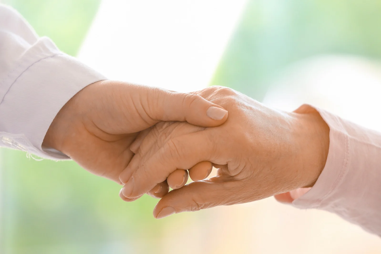 調査の全体像：国は何を検証したのか？