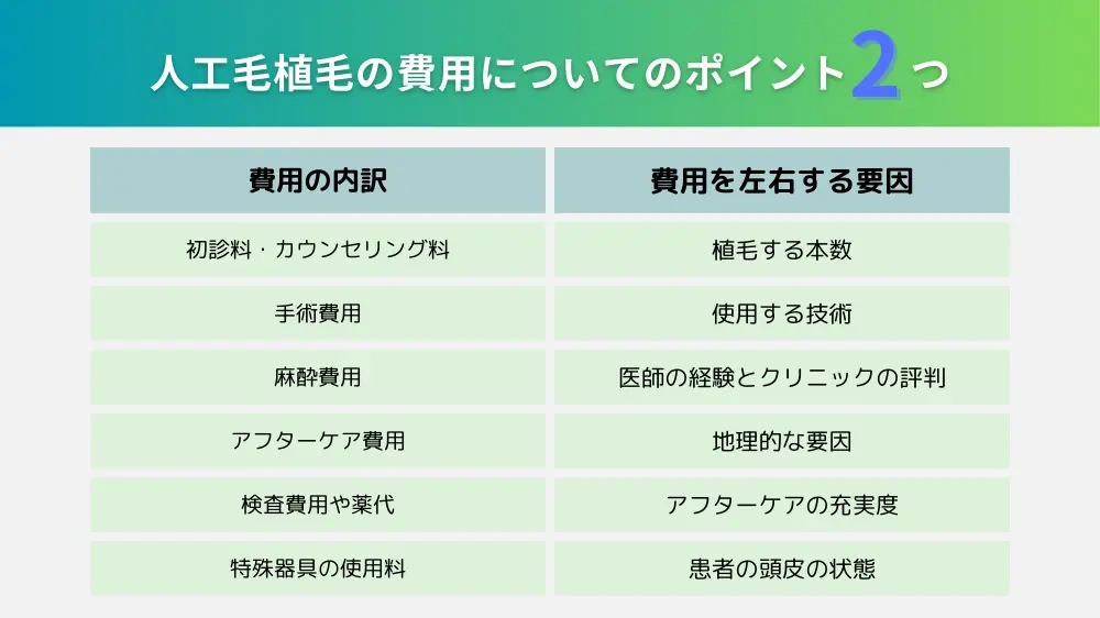人工毛植毛の概要