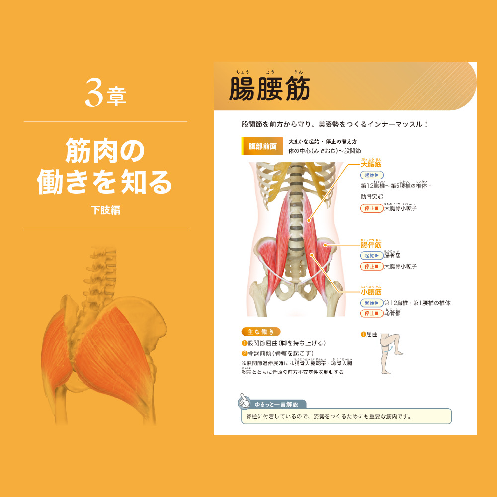ゼロアナトミー 3章 筋肉の働きを知る 下肢編