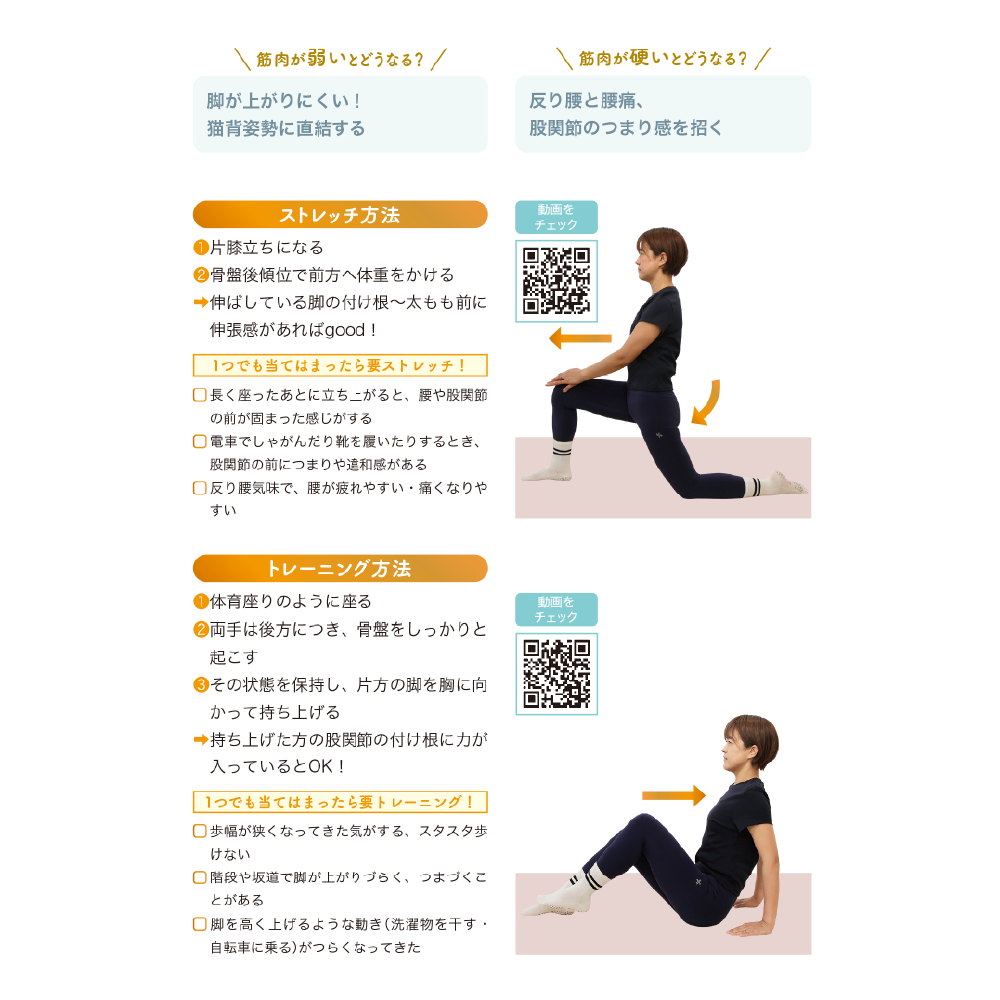 ゼロアナトミー 3章 筋肉の働きを知る 下肢編 腸腰筋