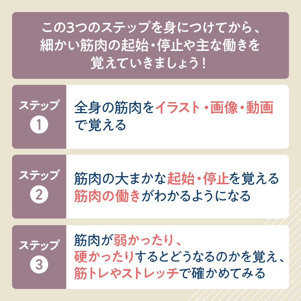 ゼロアナトミー 日常に活かせる「解剖学」の学び方3ステップ！2