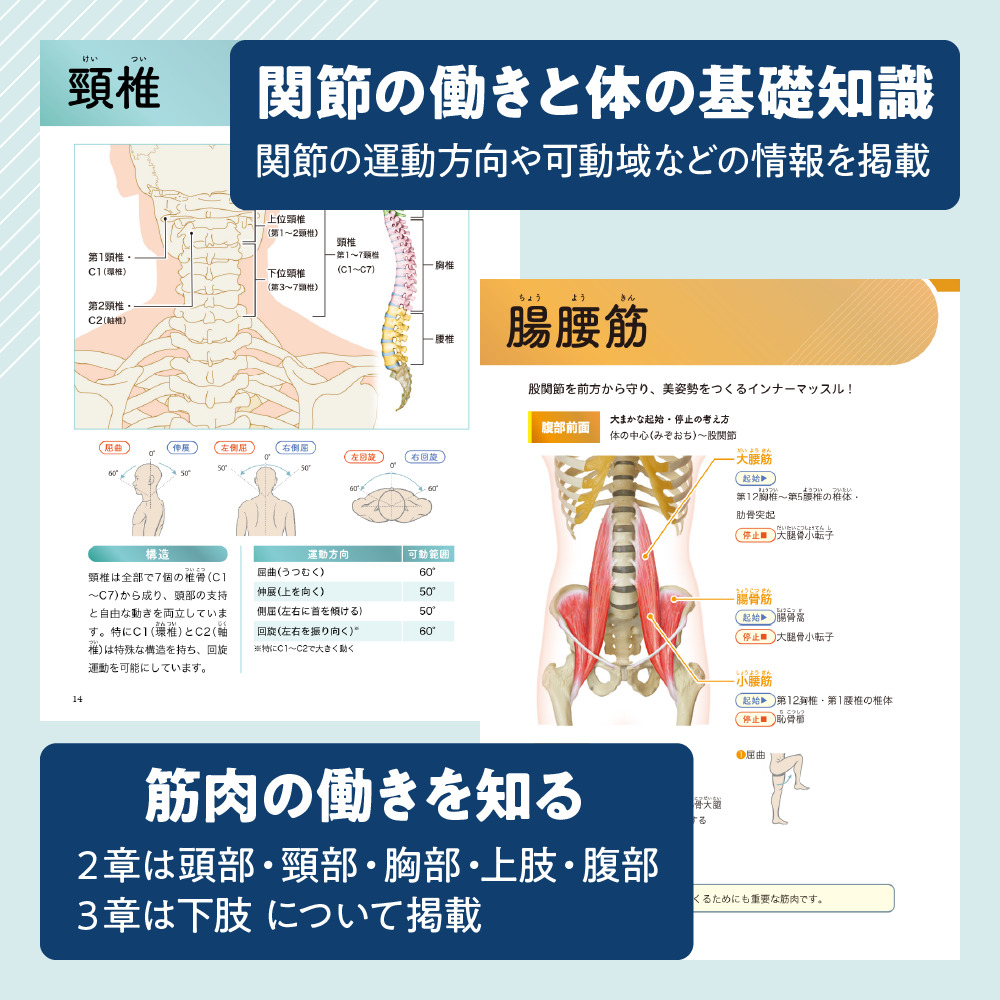 ゼロアナトミー 関節の働きと体の基礎知識／筋肉の働きを知る