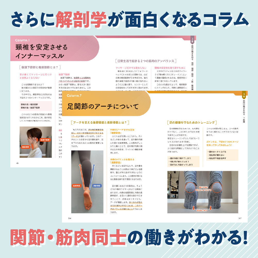 ゼロアナトミー ゼさらに解剖学が面白くなるコラム 関節・筋肉同士の働きがわかる！〟