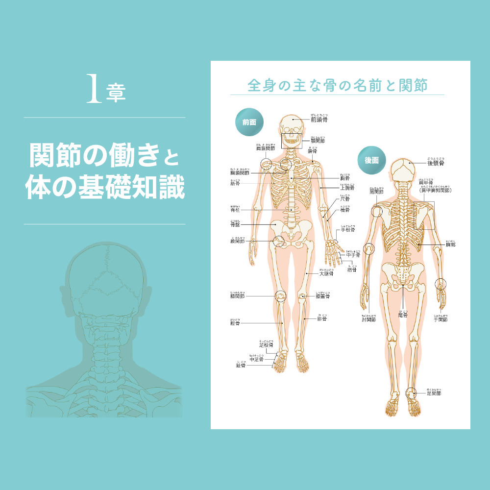 ゼロアナトミー 1章 関節の働きと体の基礎知識