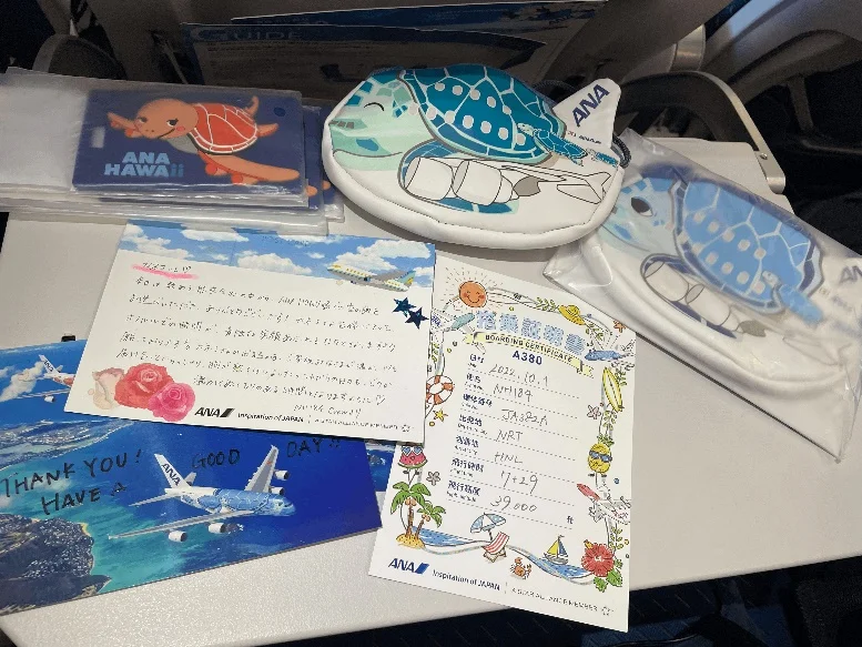 ANAカウチシートで横になって移動する様子