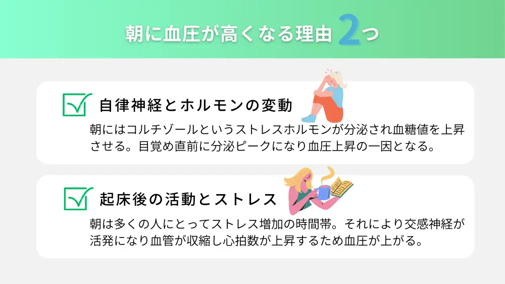 朝に血圧が高くなる理由