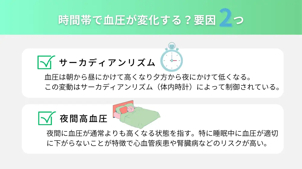 血圧は時間帯で変化する？