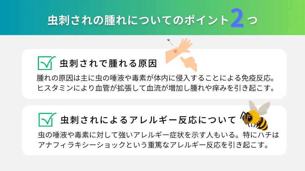 虫刺されで腫れる原因は？