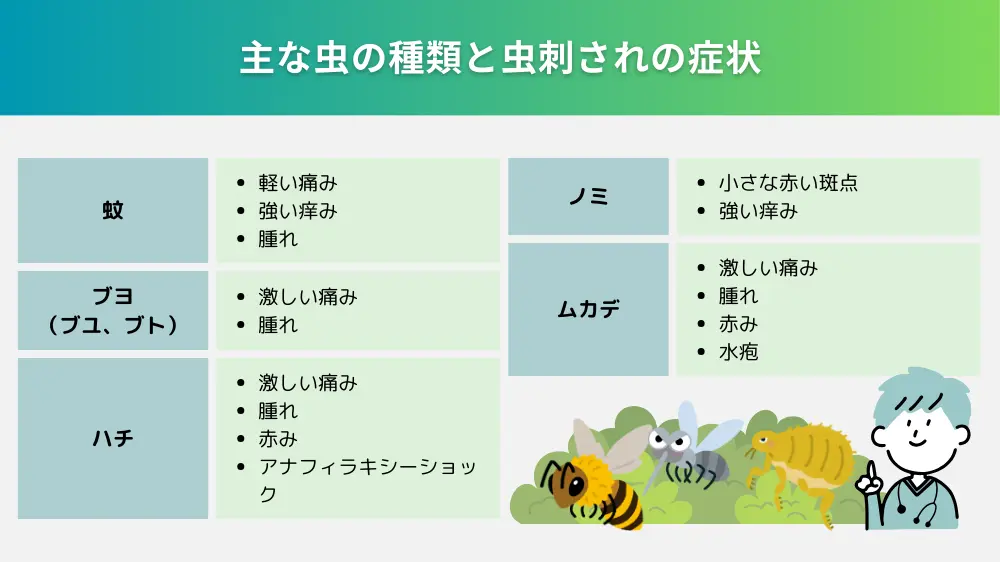 虫の種類による虫刺されの症状