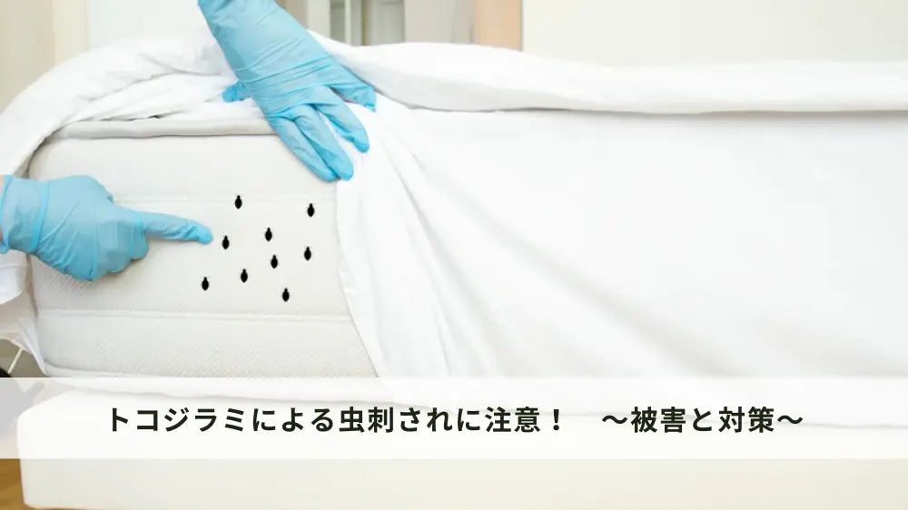トコジラミによる虫刺されに注意！