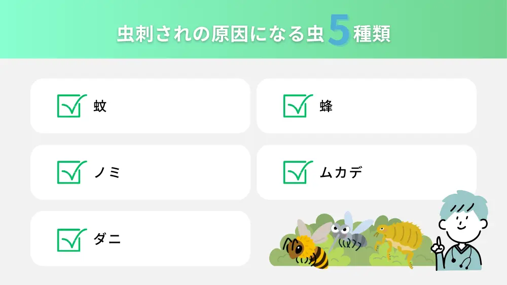 虫刺されの原因になる虫の種類