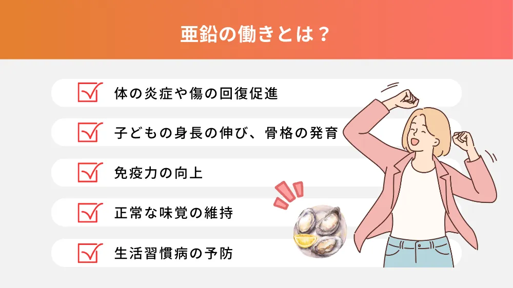 食べ物から摂取できる亜鉛とは?