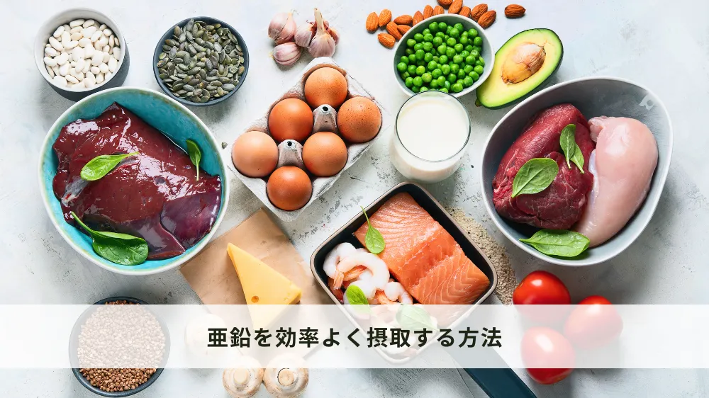 亜鉛を効率よく摂取する方法