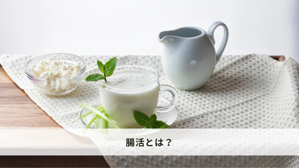 腸活とは？