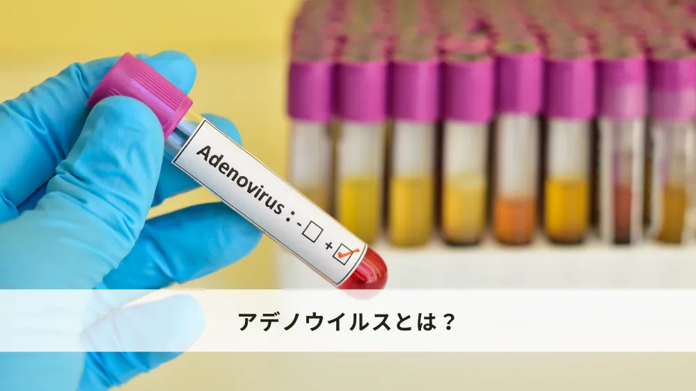 アデノウイルスとは？