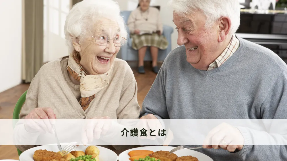 介護食とは